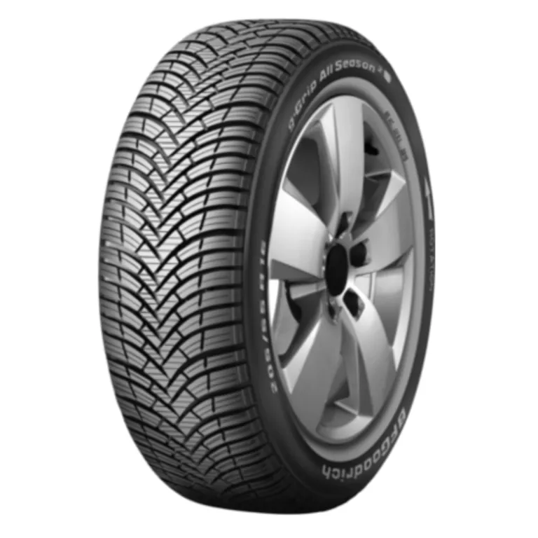 BFGoodrich BF Goodrich g-Grip All Season 2